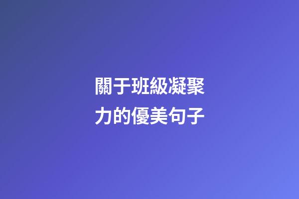 關于班級凝聚力的優美句子