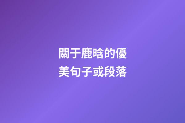 關于鹿晗的優美句子或段落