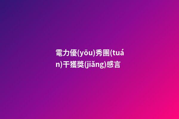 電力優(yōu)秀團(tuán)干獲獎(jiǎng)感言