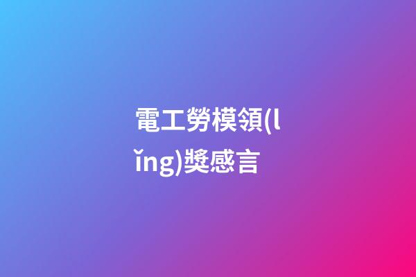 電工勞模領(lǐng)獎感言