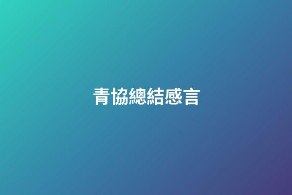 青協總結感言