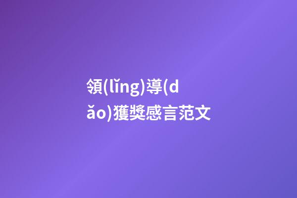 領(lǐng)導(dǎo)獲獎感言范文