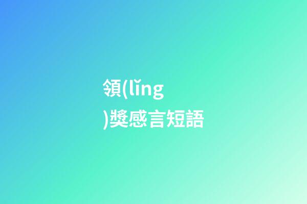 領(lǐng)獎感言短語