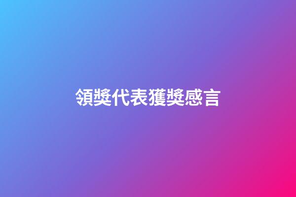 領獎代表獲獎感言