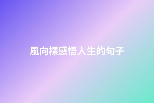 風向標感悟人生的句子