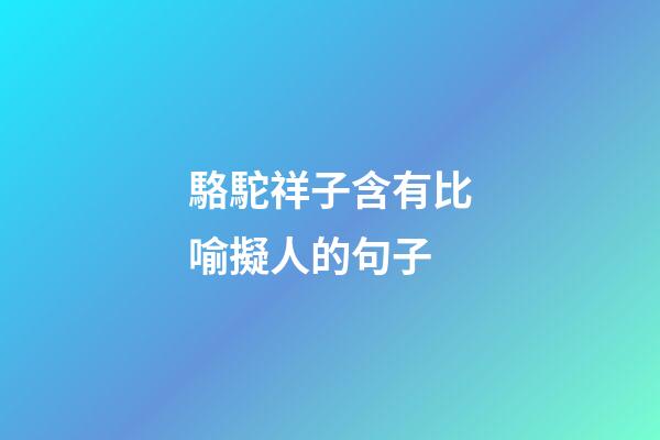 駱駝祥子含有比喻擬人的句子