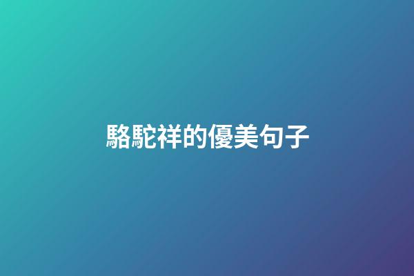 駱駝祥的優美句子