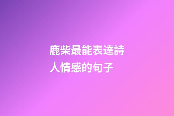鹿柴最能表達詩人情感的句子